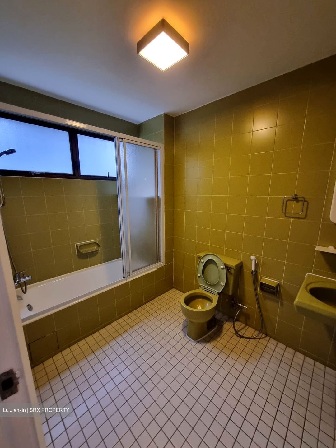 The Cairnhill (D9), Condominium #623652661
